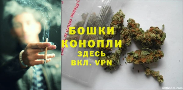 гидра Арсеньев