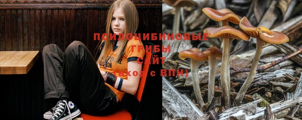 меф Армянск