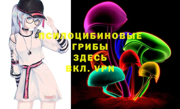 гидра Арсеньев