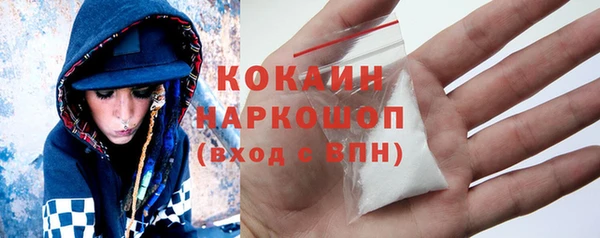 гидра Арсеньев